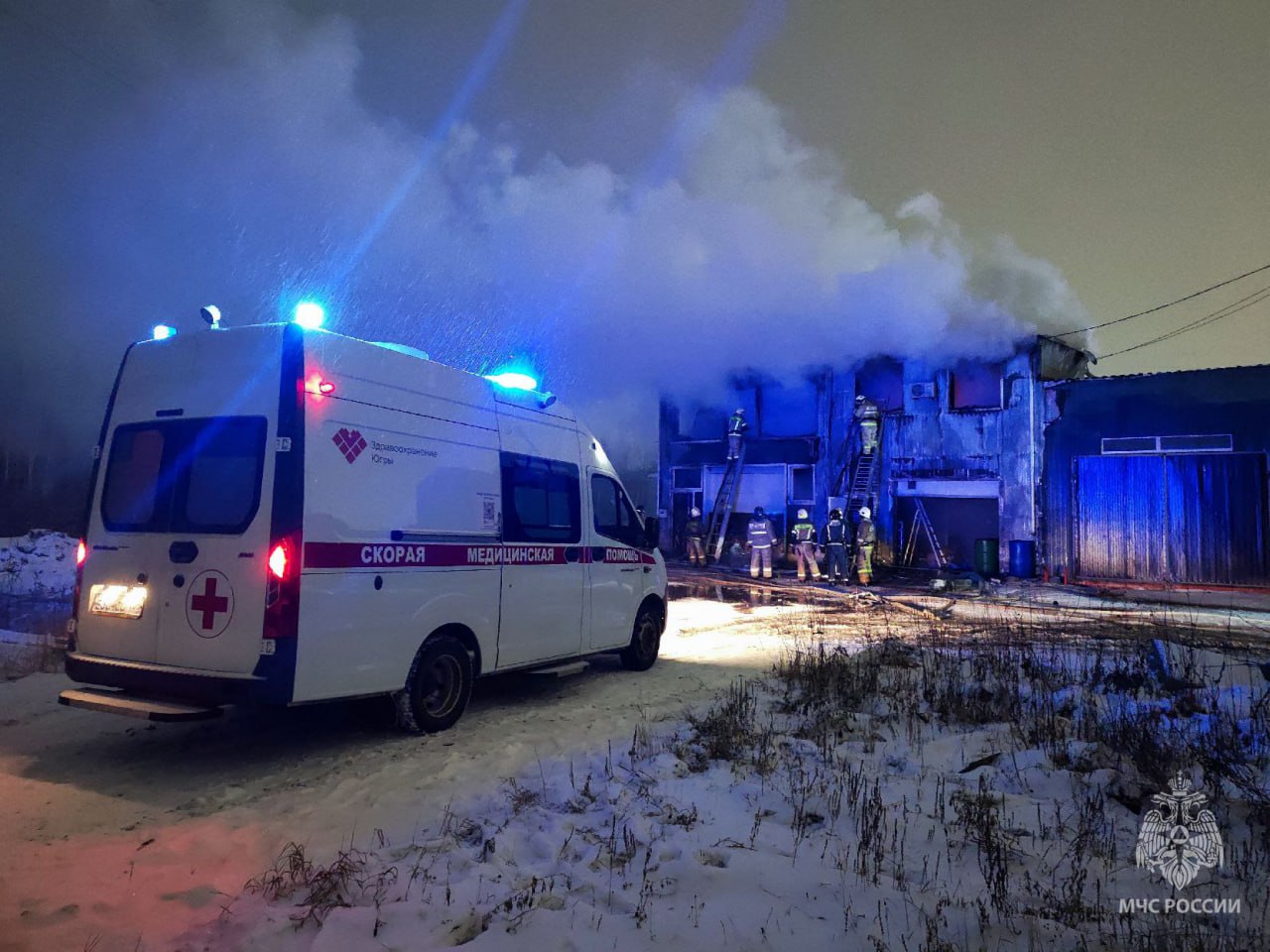 5215313633338920415 (1).jpg